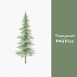 Pine Tree Watercolor Clipart, Evergreen Tree PNG Bundle, Forest Clip Art, Nature Graphics, Woodland Design Elements, Transparent Background Download - Image 2