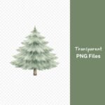 Pine Tree Watercolor Clipart, Evergreen Tree PNG Bundle, Forest Clip Art, Nature Graphics, Woodland Design Elements, Transparent Background Download - Image 7