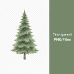 Pine Tree Watercolor Clipart, Evergreen Tree PNG Bundle, Forest Clip Art, Nature Graphics, Woodland Design Elements, Transparent Background Download - Image 6