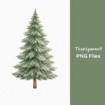 Pine Tree Watercolor Clipart, Evergreen Tree PNG Bundle, Forest Clip Art, Nature Graphics, Woodland Design Elements, Transparent Background Download - Image 5