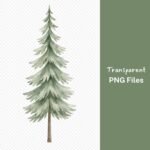 Pine Tree Watercolor Clipart, Evergreen Tree PNG Bundle, Forest Clip Art, Nature Graphics, Woodland Design Elements, Transparent Background Download - Image 4