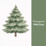 Pine Tree Watercolor Clipart, Evergreen Tree PNG Bundle, Forest Clip Art, Nature Graphics, Woodland Design Elements, Transparent Background Download - Image 3