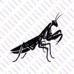 Praying Mantis SVG Bundle – Insect Silhouette Craft Designs