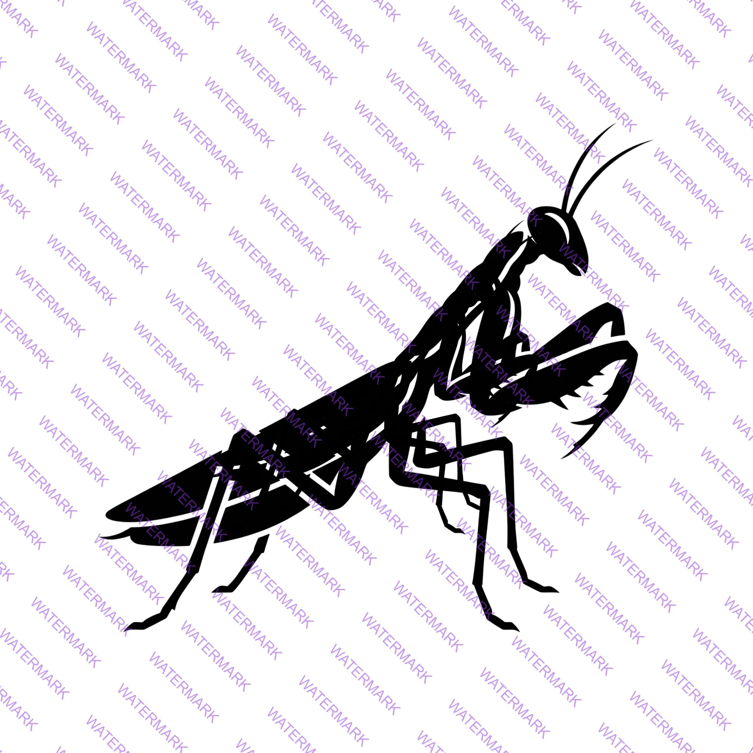 watermarked-img-1777532102392-0-1 Praying Mantis SVG Bundle – Insect Silhouette Craft Designs - Image 1