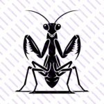 Praying Mantis SVG Bundle – Insect Silhouette Craft Designs - Image 2