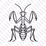 Praying Mantis SVG Bundle – Insect Silhouette Craft Designs - Image 3