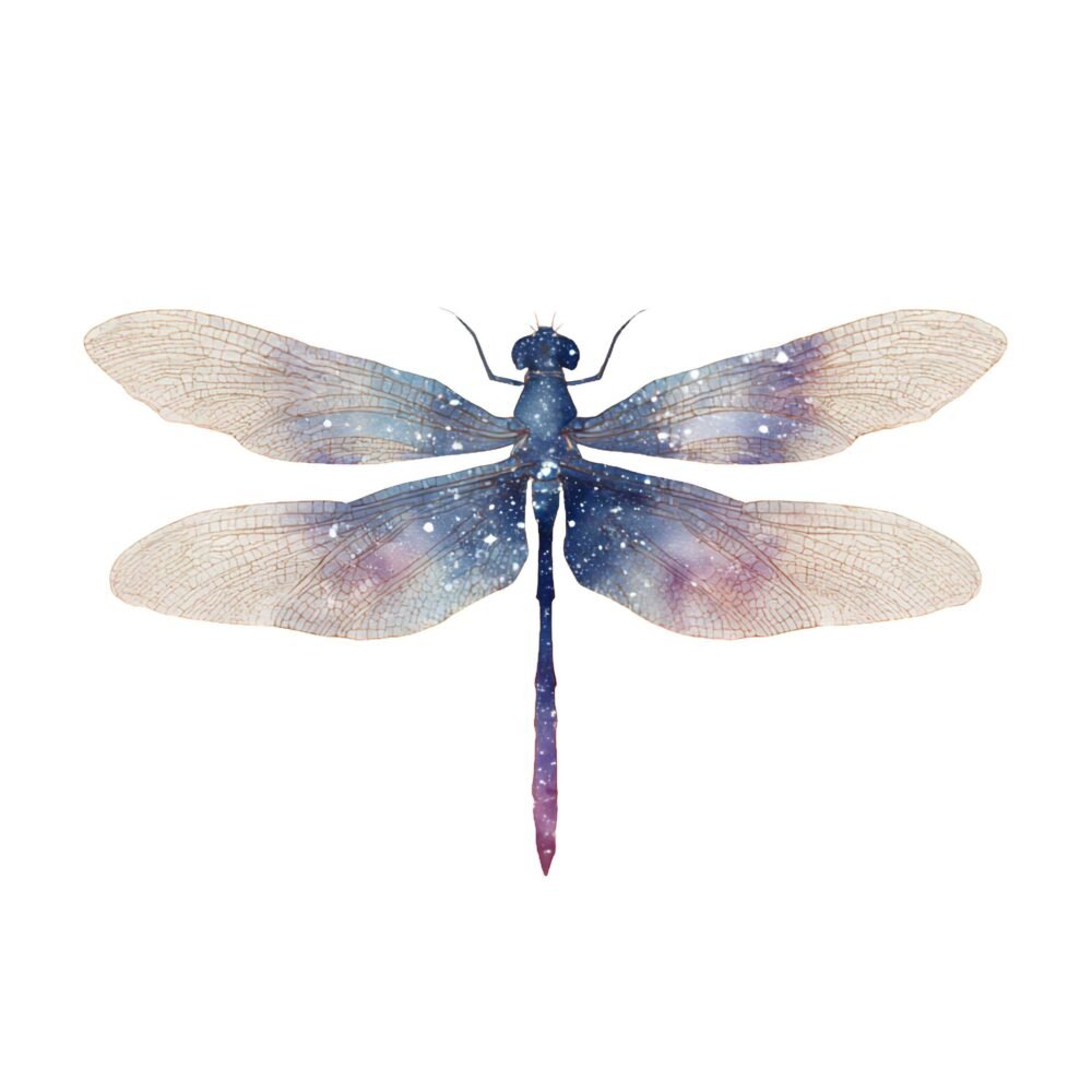18 Premium Insects Clipart Pack - Watercolor & Vintage PNG Elements - Image 2