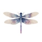 18 Premium Insects Clipart Pack - Watercolor & Vintage PNG Elements - Image 2