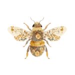 18 Premium Insects Clipart Pack - Watercolor & Vintage PNG Elements - Image 5